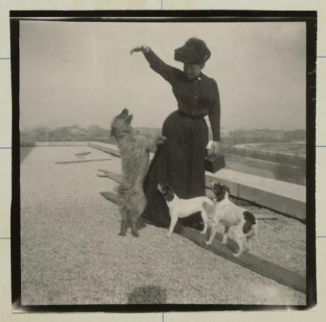 isabella stewart gardner y tres perros