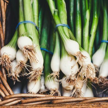 Cebolletas en una canasta recién cosechadas en un mercado agrícola compre verduras frescas