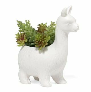 Jardinera de cerámica Lloyd the Llama