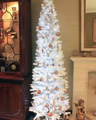 El árbol Pencilimo italiano blanco de 7 pies