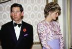 El Príncipe Felipe Cartas a la Princesa Diana