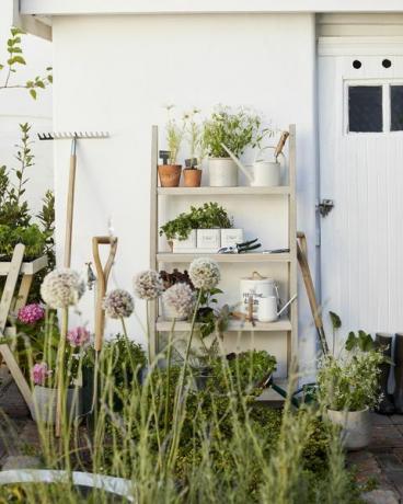 john lewis partners garden range primavera verano 2021