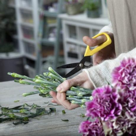 Flor de corte de floristería con tijeras de podar