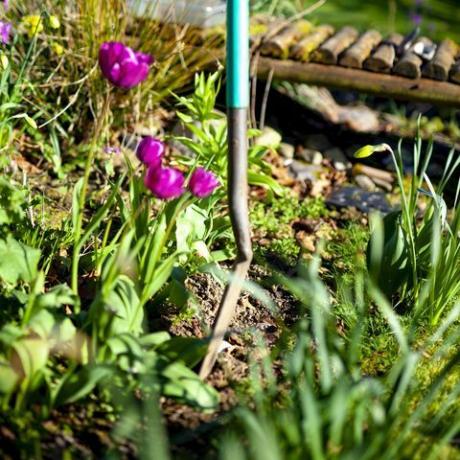 jardinería en primavera