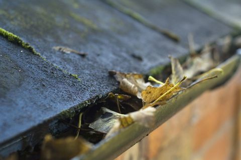 Hojas de otoño que bloquean las canaletas residenciales.