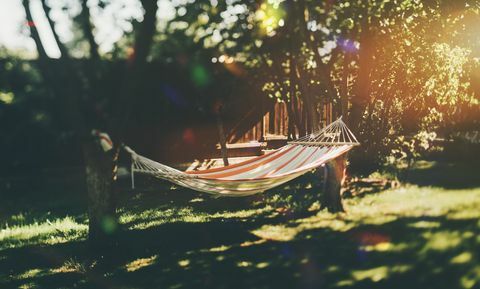 Hamaca vacía en el jardín entre árboles