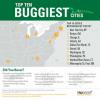 Estas 10 ciudades de EE. UU. Tienen la mayor cantidad de mosquitos, garrapatas y pulgas
