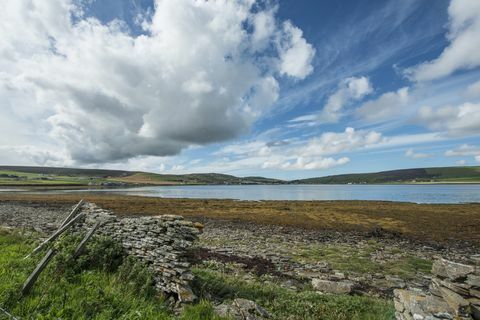 Enjambre de Grimbister - Escocia - Orkney - terrenos - Savills