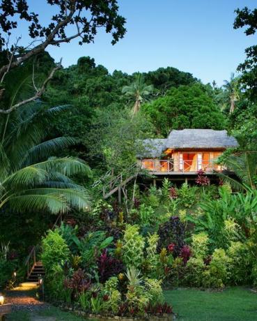 habitación de hotel en la copa de un árbol