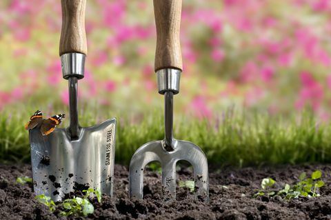 Jardinería de primavera: excavación