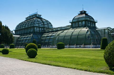 casa de palmeras en el parque del palacio de schönbrunn en viena