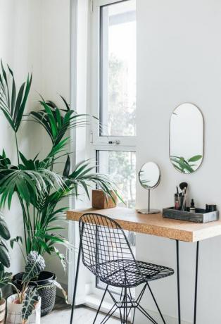 plantas grandes en la habitación