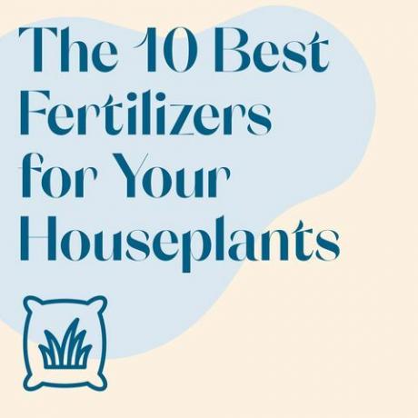 fertilizantes para sus plantas de interior