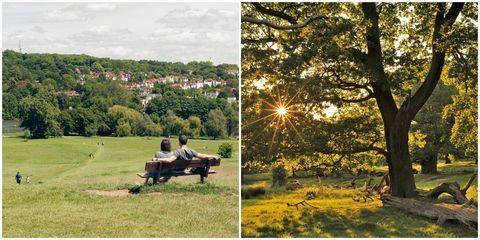 Hampstead Heath / Richmond Park, los mejores lugares de picnic de Londres