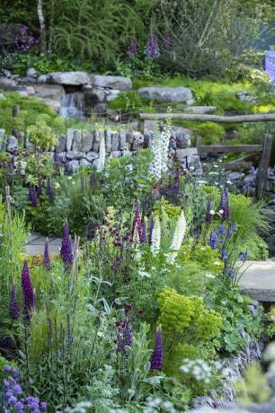 Esquemas de plantación de jardines - Bienvenido al jardín de Yorkshire