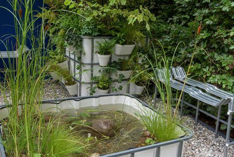 chelsea flower show 2021 jardines de contenedores el bosque de bolsillo del ibc