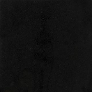 Baldosa para piso de granito de piedra natural pulida Satori Absolute Black de 30 x 30 cm