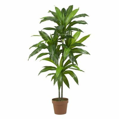 Real Touch 48 pulg. H Planta de seda Dracaena verde