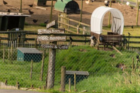 Parque de vida salvaje en venta en Escocia