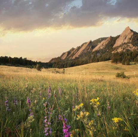 Vista panorámica del prado y las montañas, Boulder, Colorado, EE.UU.