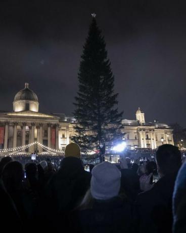 trafalgar square árbol de navidad apagado