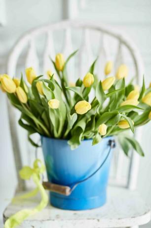 Coloridas flores de primavera y delicados aromas