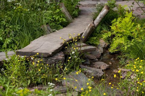 un paisaje de rewilding britain diseñado por lulu urquhart y adam hunt patrocinado por el proyecto de retribución en apoyo de rewilding britain show garden rhs chelsea flower show 2022