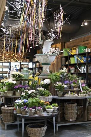 La tienda Westport de Terrain es básicamente el cielo vegetal