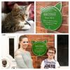 Placas ecológicas para mascotas instaladas en hogares para honrar a las mascotas más increíbles del Reino Unido