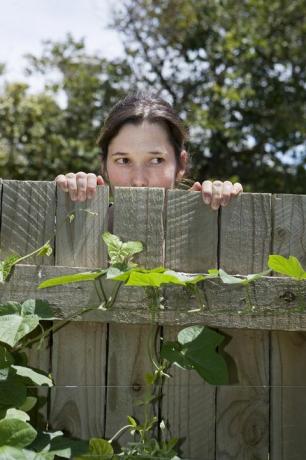 Mujer mirando por encima de la valla de madera