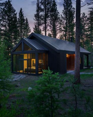 habitación de hotel en la copa de un árbol