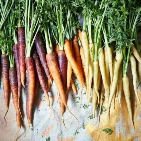 zanahorias coloridas de la herencia