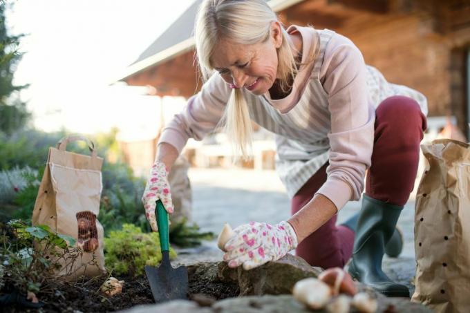 mujer mayor plantando bulbos al aire libre en el jardín de otoño, concepto de jardinería