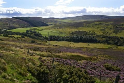 Parque Nacional Cairngorms