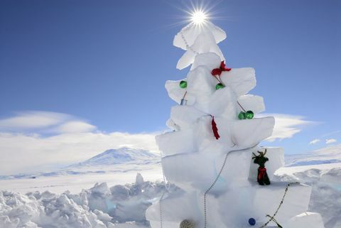 Árbol de navidad de nieve