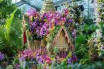 Kew Gardens Orchid Festival 2019 Fechas y entradas Información