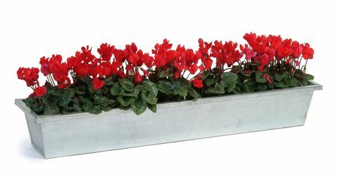 Jardinera 80cm - Acero galvanizado