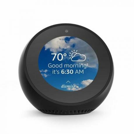 Echo Spot