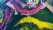 Este video de drones de la flor de primavera de China es impresionante