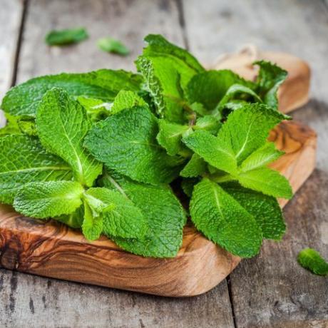 Manojo de menta fresca orgánica sobre tabla de cortar de madera