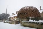 ¿Por qué cientos de turistas han estado visitando Kidlington, Oxfordshire?