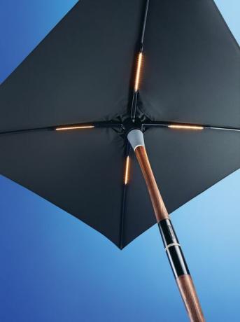 Blossom Umbrella, $ 5,900