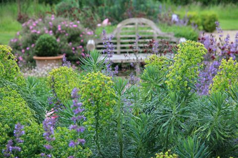 jardín de la cabaña, jardín por andrew duff