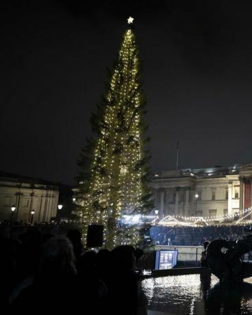 trafalgar square árbol de navidad iluminado