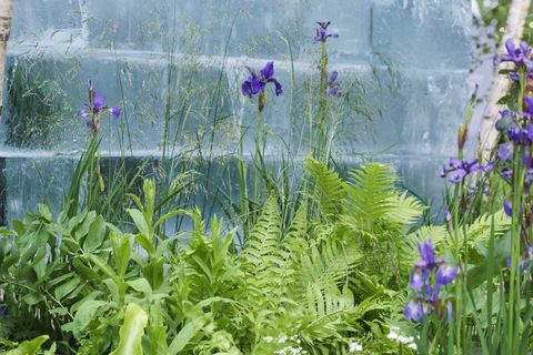 Chelsea Flower Show 2022 The Plantman's Ice Garden diseñado por John Warland Sanctuary Garden