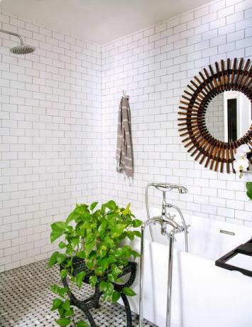 baño de azulejos blancos con planta