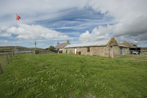 Enjambre de Grimbister - Escocia - Orkney - granja - Savills