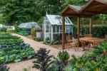 RHS Hampton: Cómo cultivar su propio jardín de asignación sin excavación