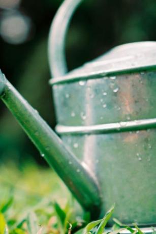 única gota de agua que cae de la regadera sobre la hierba