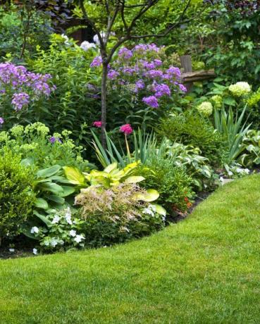 exuberante jardín paisajístico con parterres y plantas de colores